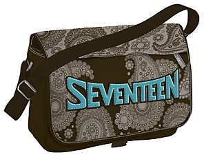 сумка подростковая 24*33*12  svpu3-11t-402 /seventeen