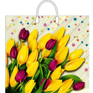 пакет 38*35 ля фам пластик. с пластик. ручками /инт изображение пакет 38*35 ля фам пластик. с пластик. ручками /инт фото