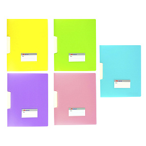 папка-клип пластиковая ice 0.15мм, матовая, карман для визитки, ассорти, 0475ie /alingar изображение папка-клип пластиковая ice 0.15мм, матовая, карман для визитки, ассорти, 0475ie /alingar