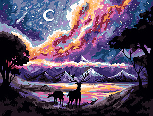 набор для раскраска по номерам 30*40 волшебство ночи цветной холст pnb/pmc-220 /фрея набор для раскраска по номерам 30*40 волшебство ночи цветной холст pnb/pmc-220 /фрея