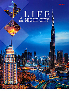 папка а5 4 кольца картонная  жизнь ночного города. пк-2943 /пп