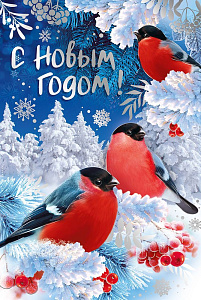 открытка с новым годом! а5, текст  92.832.00 /империяпоздр