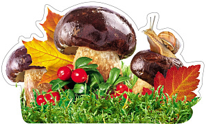 мини-плакат фигурный улитка на грибе 200*200 10-10.02-0024 /miland изображение мини-плакат фигурный улитка на грибе 200*200 10-10.02-0024 /miland