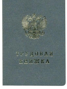 бланк "книжка трудовая" бт-12н изображение бланк "книжка трудовая" бт-12н