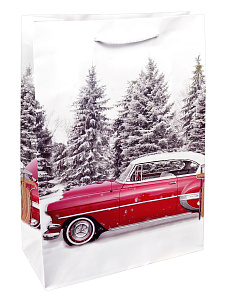 нг пакет бумажный 22*31*10 красная машина в лесу! глян. ламин., пкп-5673 /optima