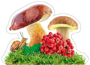 мини-плакат фигурный грибы и рябина 200*200 10-10.02-0020 /miland изображение мини-плакат фигурный грибы и рябина 200*200 10-10.02-0020 /miland