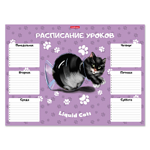 расписание уроков а3 жидкие коты 58299 /ек изображение расписание уроков а3 жидкие коты 58299 /ек