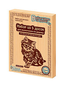 доска для выжигания без рисунка 1731 /дескор