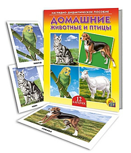 дидактич.пособие 365 заданий. чистописание, 978-5-00134-633-3 /malamalama изображение дидактич.пособие 365 заданий. чистописание, 978-5-00134-633-3 /malamalama