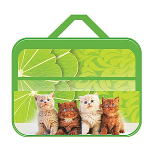 папка для труда а4 рыжие котики широкая с ручками, молниясверху, ткань птр-111 /пчелка изображение папка для труда а4 рыжие котики широкая с ручками, молниясверху, ткань птр-111 /пчелка