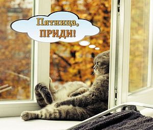 магнит виниловый пятница,приди! т-3263 /miland