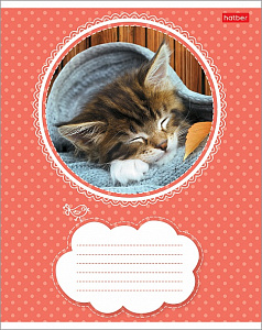 тетрадь 18л линия черный котик ассорти, 18т5в2 091440 /hatber