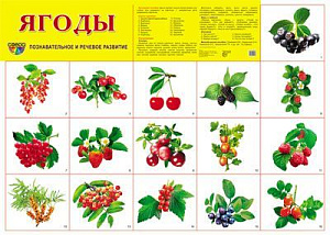 плакат - ягоды а2 0528-9 /сфера